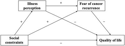 The influence of social constraints on the quality of life of hematopoietic stem cell transplantation survivors: The chain mediating effect of illness perceptions and the fear of cancer recurrence